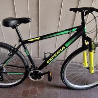 bici esperia 29