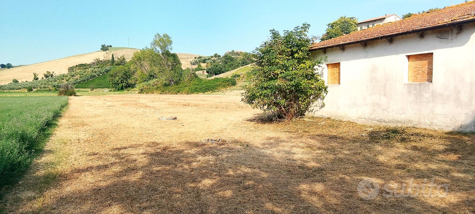 CASA di CAMPAGNA con 6.200 mq di TERRENO AGRICOLO - Vista 5