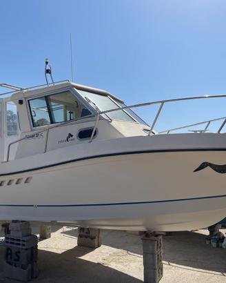 Florida 23