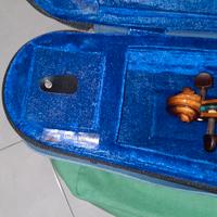 Violino professionale