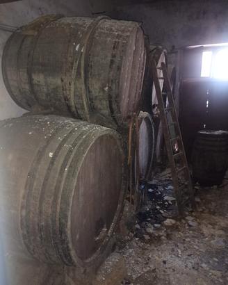 GRANDI BOTTI ANTICHE 