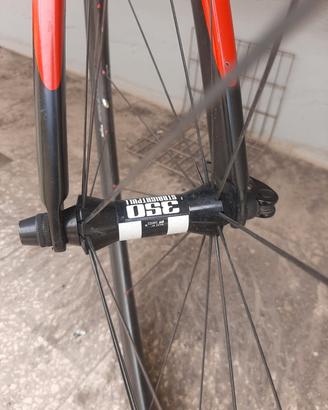 Wilier triestina GTR in carbonio 