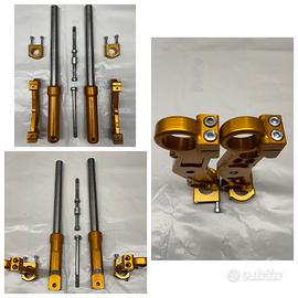 Particolari Factory Minimoto Phantom polini DM GRC