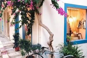 Showroom laboratorio ufficio negozio