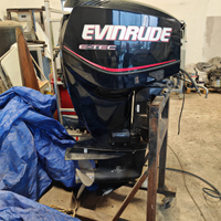 Evinrude 115 cv