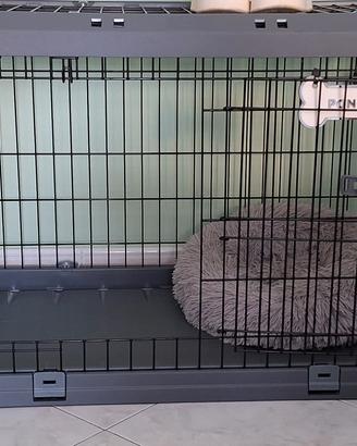 Box  per cani