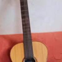 Chitarra Giannini AWN31 1977, vedi descrizione.