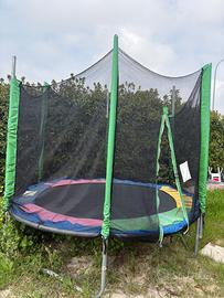 Trampolino elastico