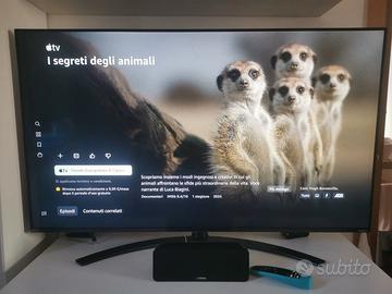 LG TV 55NAN081