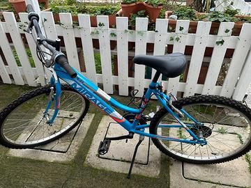 Mountainbike MIRAGE nuova