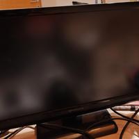 video monitor pc