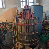torchio per uva cignoli