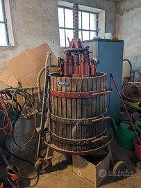 torchio per uva cignoli