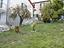 Immagine 23