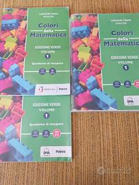 COLORI DELLA MATEMATICA 1 VERDE (9788849421729)