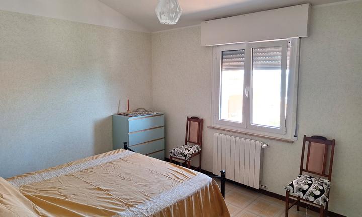 Disponibile da dicembre a maggio