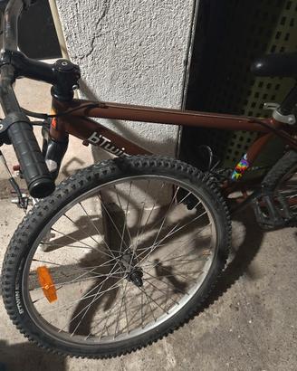 Mountain bike 
