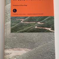 Libro “Va’ dove ti porta il cuore”