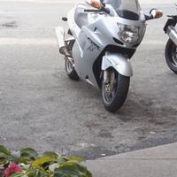 CBR xx super black Bird 1100