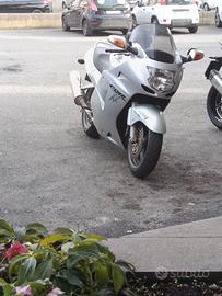 scambiiCBR xx super black Bird 1100  