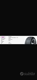 Gomme nexen primus