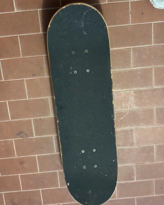 Skateboard
