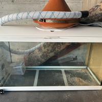 Acquario 120 litri