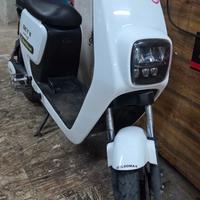 Scooter elettrico 