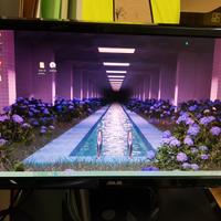 monitor pc asus vga Full HD modello vh222