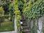 Immagine 6