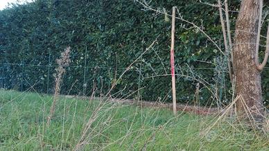 Terreno edificabile poggio nativo