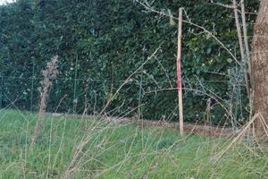 Terreno edificabile poggio nativo