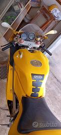 Ducati 916 anno 1999