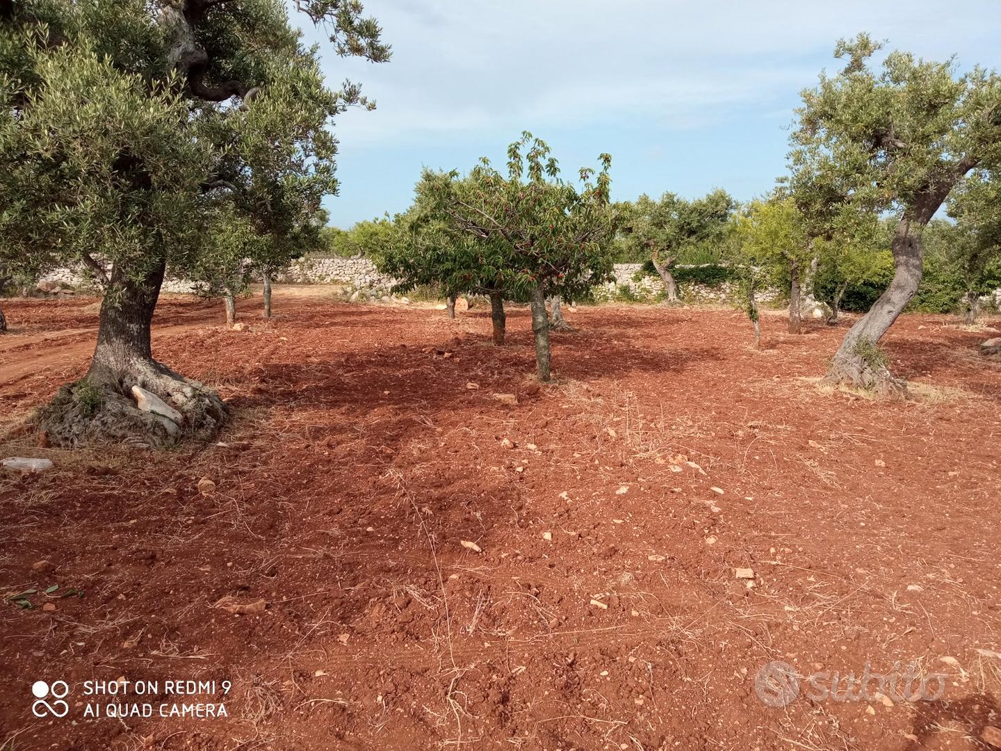 Terreno agricolo edificabile - Vista 3