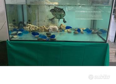 Acquario con filtro e mobiletto