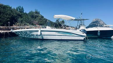 Fiart oasi 22 con 150 yamaha
