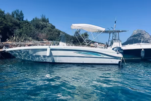 Fiart oasi 22 con 150 yamaha