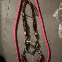 Testiera e redini - cavallo