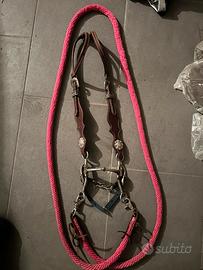 Testiera e redini - cavallo