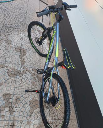 Bici mountain bike Adriatica 