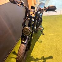 E bike fat