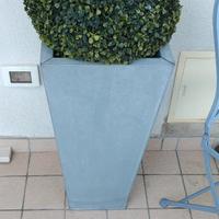 Pianta finta ingresso/ giardino