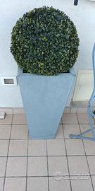 Pianta finta ingresso/ giardino