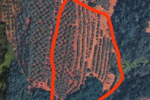 Terreno agricolo