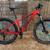 Trek roscoe 6