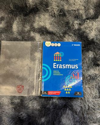 Erasmus (diritto Cittadinanza Economia )