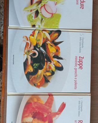 enciclopedia libri di cucina