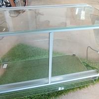 Terraio, rettilaio, teca