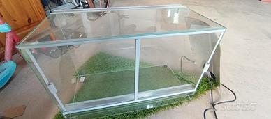 Terraio, rettilaio, teca