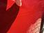 Immagine 16
